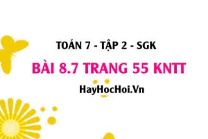Bài 8.7 trang 55 Toán 7 Tập 2 Kết nối tri thức